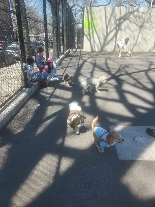 Travers Dog Run 2