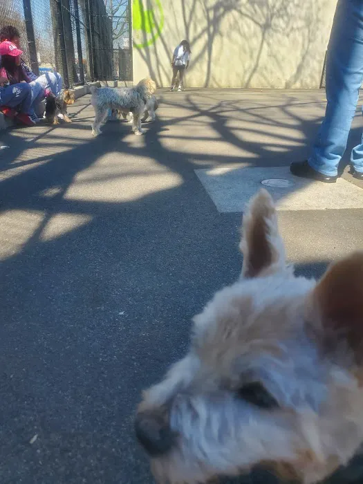 Travers Dog Run 5