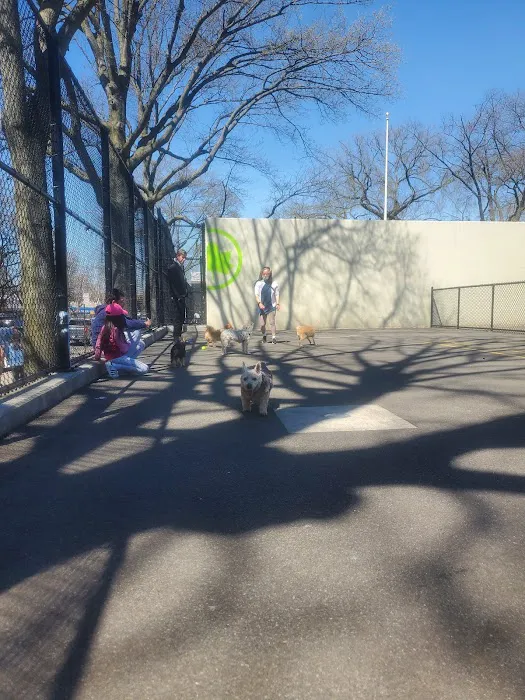 Travers Dog Run 3