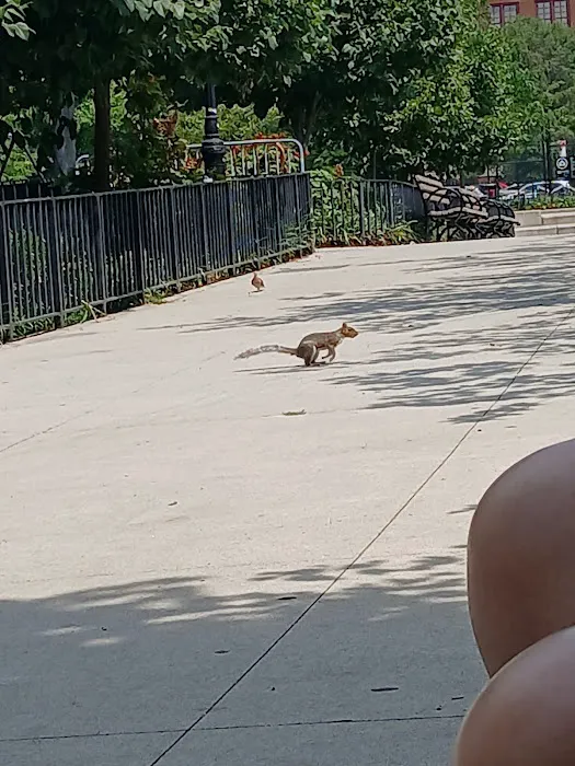 Travers Dog Run 1