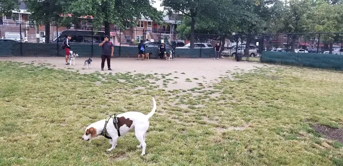 Landing Lights Dog Run 3
