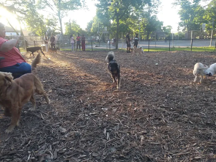 Cunningham Park Dog Run 5