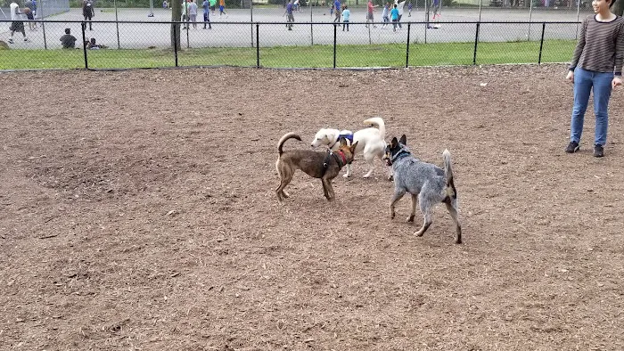 Cunningham Park Dog Run 4