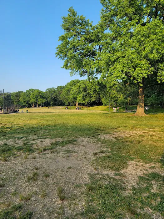 Cunningham Park Dog Run 6