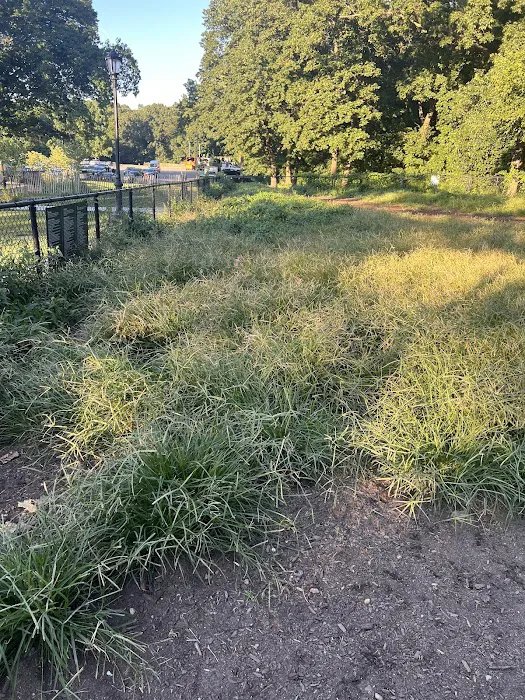 Cunningham Park Dog Run 9