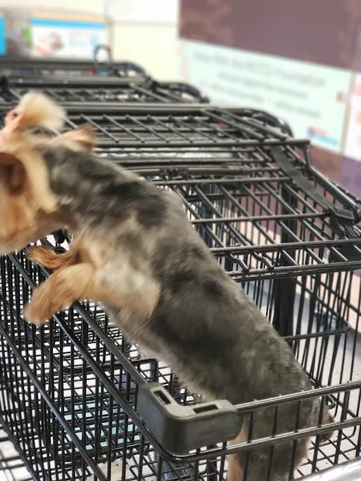 Petco 1