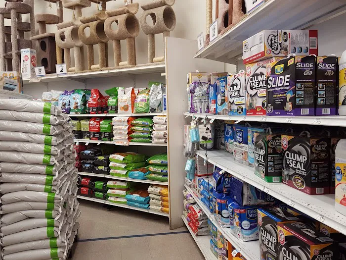 Petco 8