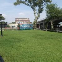 Rockaway Freeway Dog Run ico
