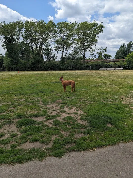 Rockaway Freeway Dog Run 5