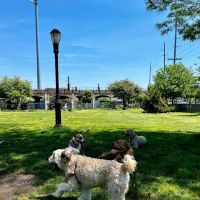 Tail Waggers Task Force ico