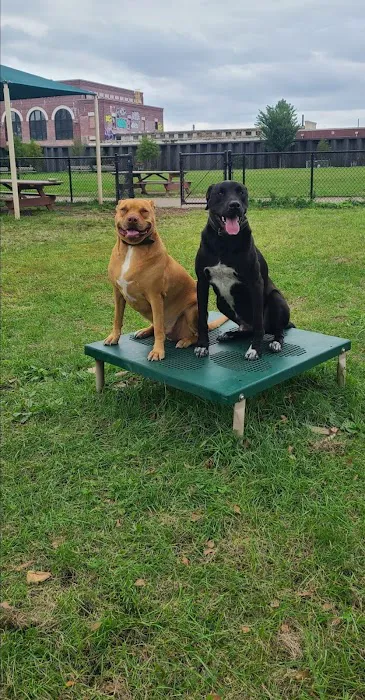 Tail Waggers Task Force 2