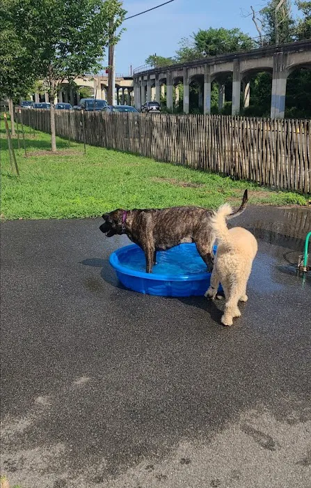 Tail Waggers Task Force 3