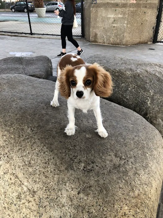 Triborough Bridge Playground C Dog Run 2