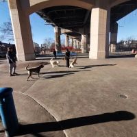 Triborough Bridge Playground C Dog Run ico