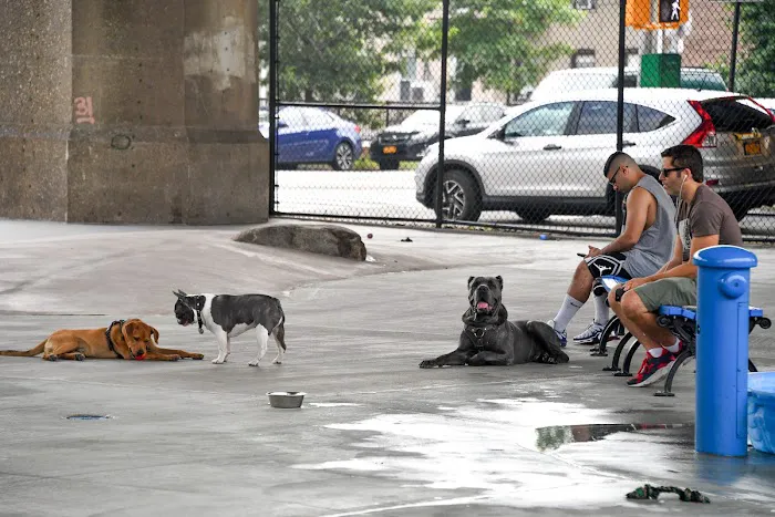 Triborough Bridge Playground C Dog Run 10