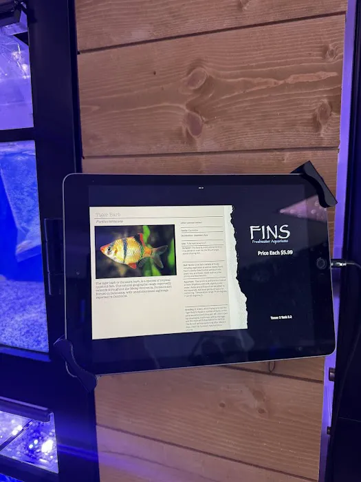 FINS Freshwater Aquariums 4