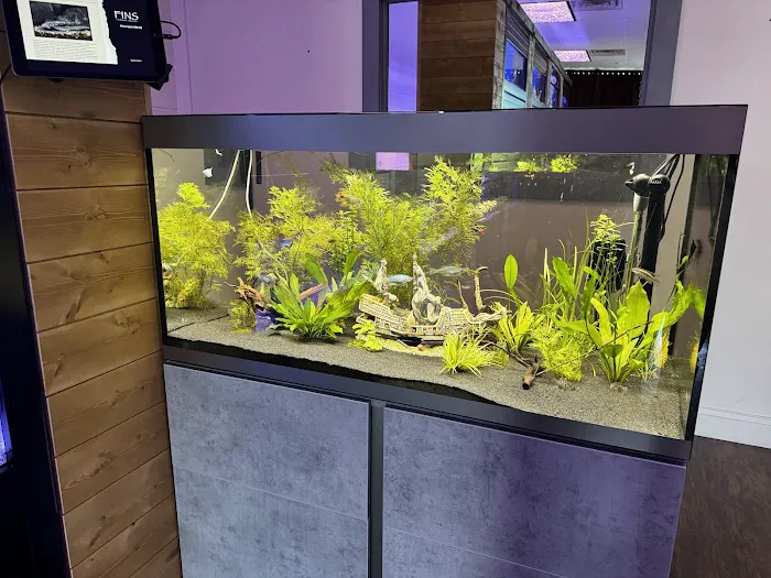 FINS Freshwater Aquariums 1