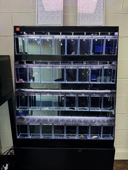 FINS Freshwater Aquariums 2