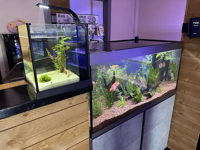 FINS Freshwater Aquariums 5