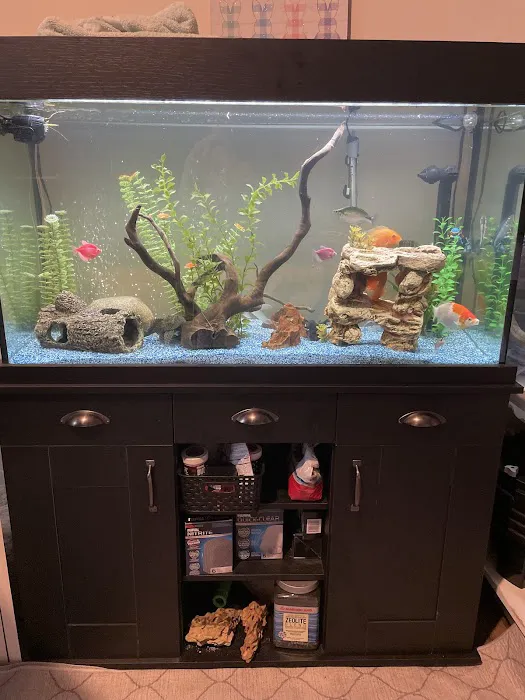 FINS Freshwater Aquariums 6