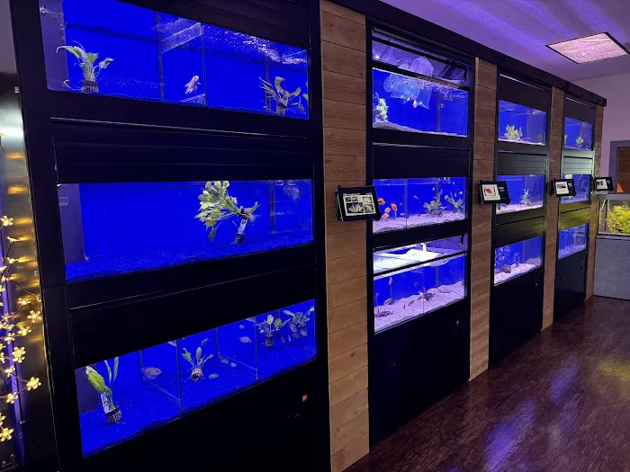 FINS Freshwater Aquariums 7