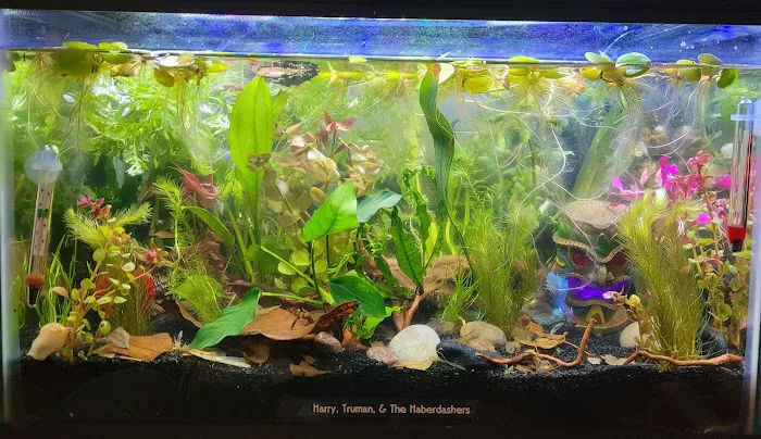 FINS Freshwater Aquariums 8