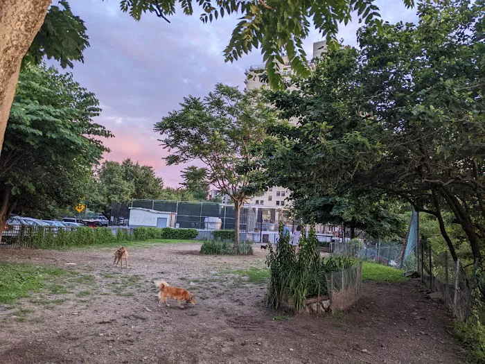 Bugsy's Dog Run 7