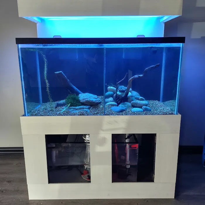 Aquariums Memphis 6