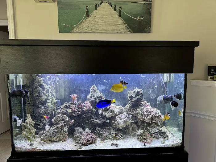 Aquariums Memphis 5