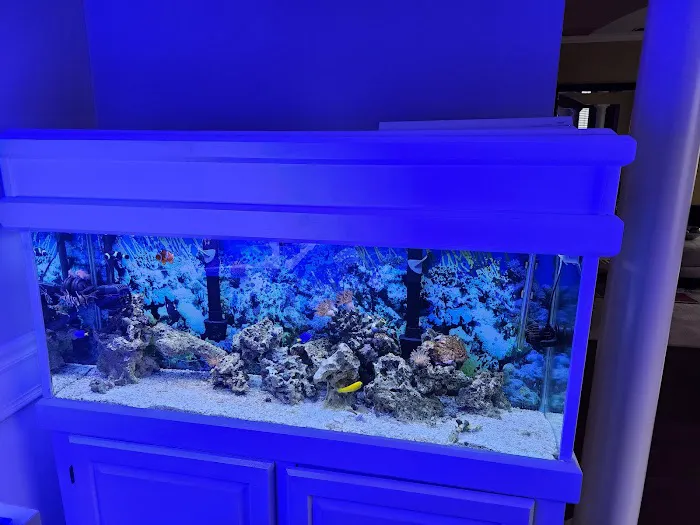Aquariums Memphis 4