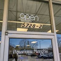 Aquariums Memphis ico