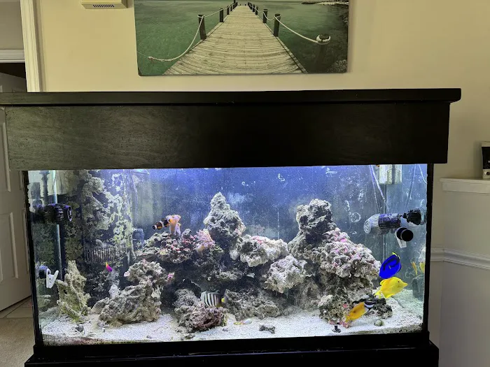 Aquariums Memphis 10