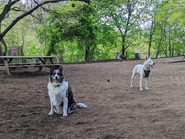Morningside Park Dog Run 1