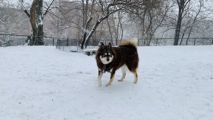 Morningside Park Dog Run 7