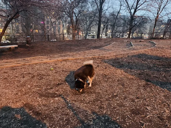 Morningside Park Dog Run 9