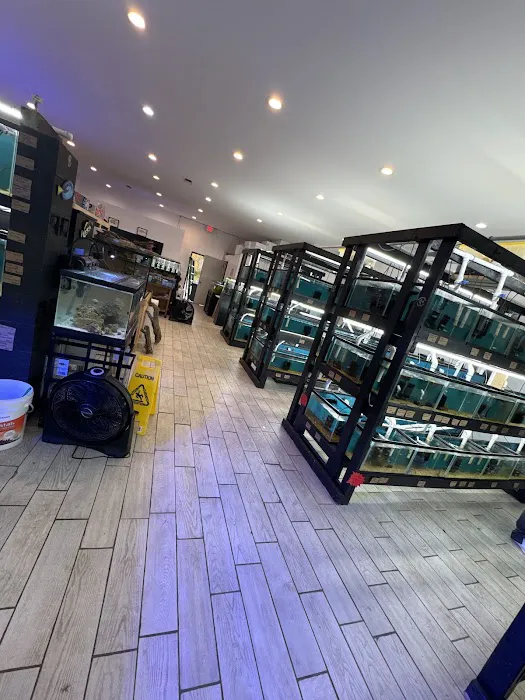 RO Aquatics & Exotics 2