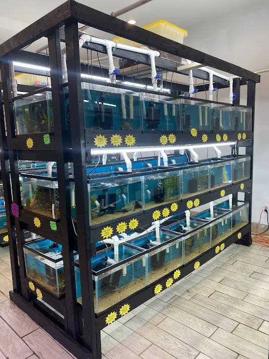 RO Aquatics & Exotics 7