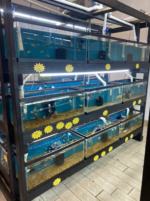 RO Aquatics & Exotics 6