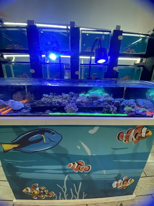 RO Aquatics & Exotics 5