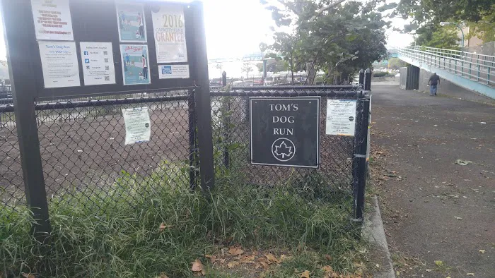 Dog Park 1