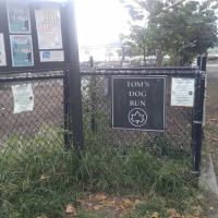Dog Park ico
