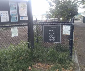 Dog Park