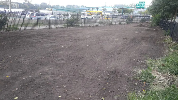 Dog Park 3