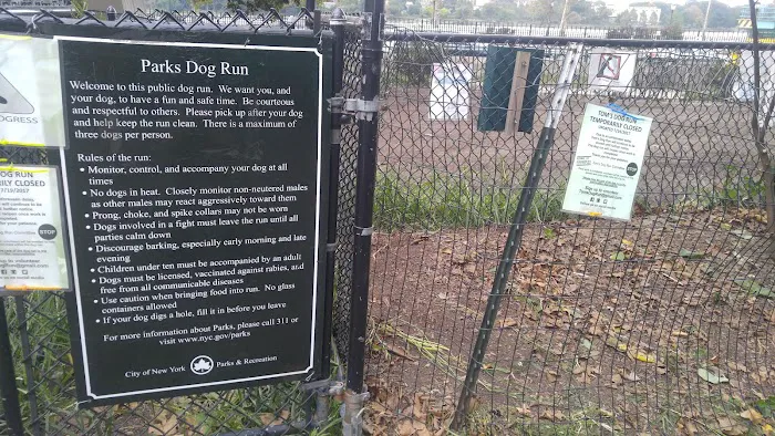 Dog Park 4