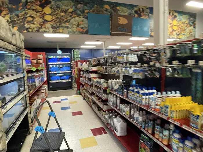 Petco 2