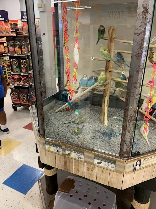 Petco 5