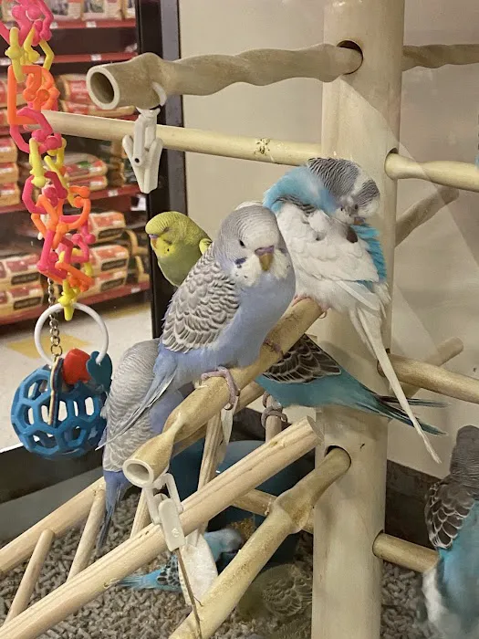 Petco 3