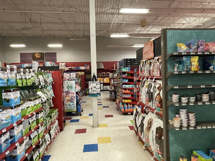 Petco 6