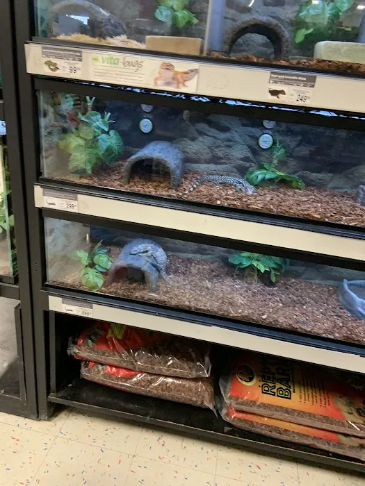 Petco 8