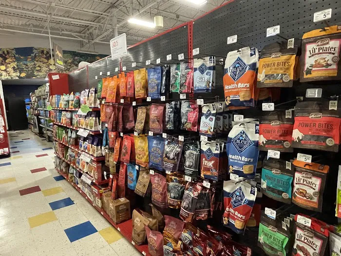 Petco 9